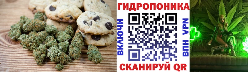 Cannafood конопля Кирс