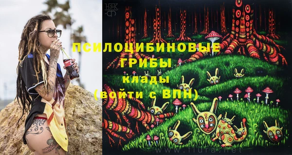 синтетический гашиш Заводоуковск