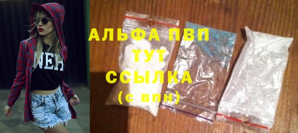 сатива Заволжье