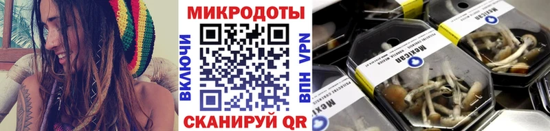 Галлюциногенные грибы GOLDEN TEACHER  Кирс 